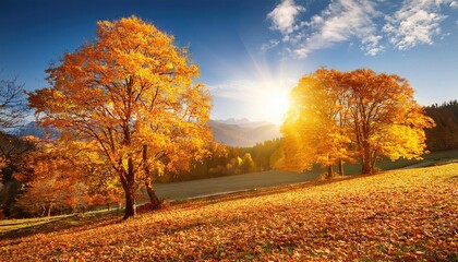 Naklejka premium autumn in the park