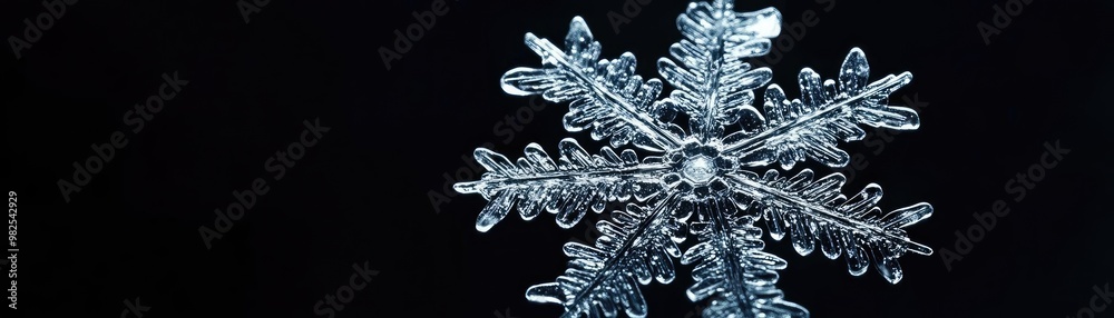 Poster a detailed close-up of a snowflake shimmering against a black background, showcasing its unique crys