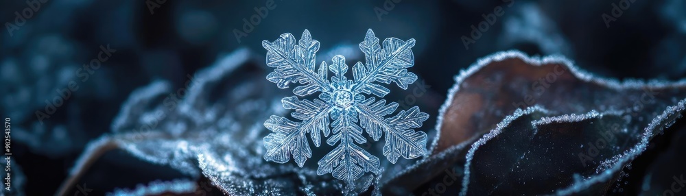 Poster A stunning close-up of a snowflake glistening on a leaf, showcasing intricate patterns and stunning winter beauty.