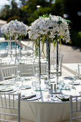 Elegant Outdoor Wedding Reception with White Floral Centerpieces and Chiavari Chairs