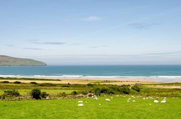 Idyllic Countryside View