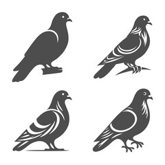 Silhouette set of pigeon bird., ideal for adding an exotic touch to your creative design.