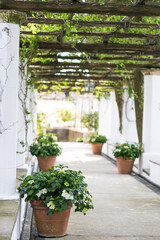 Rustic and luxurious living on the Amalfi coast overlooking the coastline