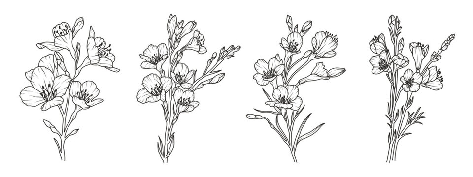 Set of freesia flower line art. Floral logo hand drawn sketch. Wild bouquet abstract elegant spring leaves. Black vintage botanical floral branch. Vector illustration in outline style