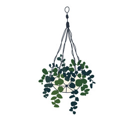 Macrame hanging plant in pot. Garden house indoor hanger flowerpot. Hanging home plant for interior decor. Vector flat illustration