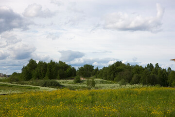 Obraz premium Russia Karelia landscape on a cloudy summer day
