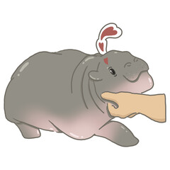 hippopotamus illustration (Moodeng)