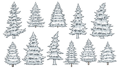 Obraz premium Coniferous trees set emblems monochrome