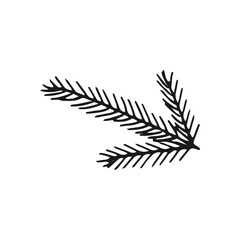Hand drawn coniferous branch. Vector illustration of pine and spruce branches