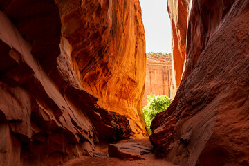 singing canyon at burr trail