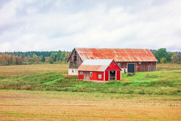 Red barns in a rural landscape by a field at autumn