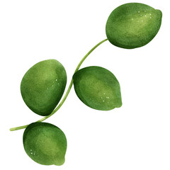 olives