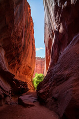 singing canyon, burr trail