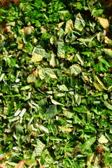 Fresh cutted Herbs green background detail aroma