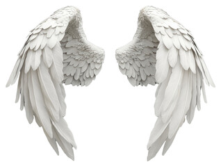 PNG Elegant white angel wings displayed