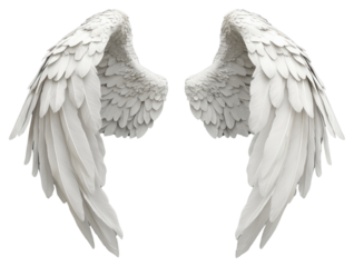 PNG Elegant white angel wings displayed