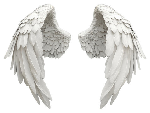 PNG Elegant white angel wings displayed