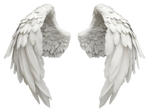 PNG Elegant white angel wings displayed