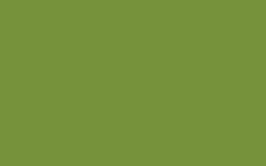 pure sycamore color background design