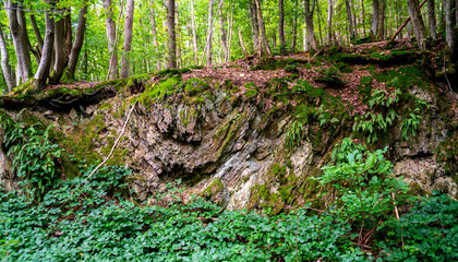 Rock formation in a forest in the Ardennes, Belgium
