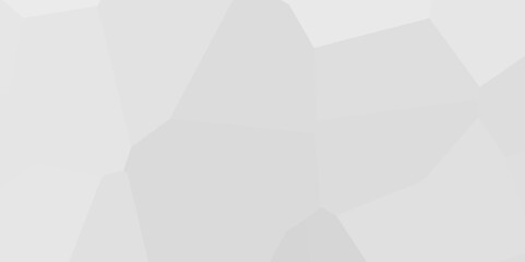 gray Color Abstract trianglify Generative Art background illustration, Geometric design. Colorful gradient mosaic background, White polygon textured background