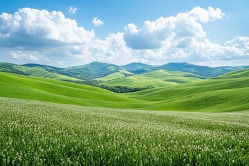 Green grass and wildflowers growing in a mountain valley