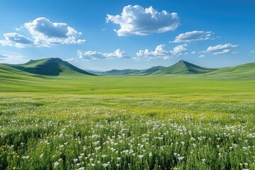 Green grass growing in idyllic landscape with wildflowers and mountains