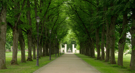 alley in the park