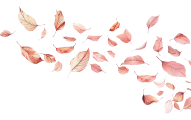 PNG Autumn leaves flying art blossom flower.