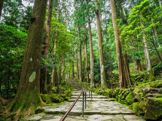 世界遺産　熊野古道