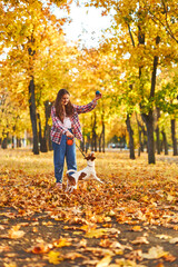 Girl playing in autumn park with a funny Jack Russell Terrier.