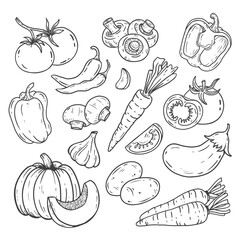 set of vegetables in doodle style. Hand drawn vegetables with pumpkin, potatoes, eggplants, garlic, carrots, peppers, tomatoes, champignons. Sketch of a vegetable. Vector illustration