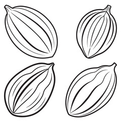 3d rendering of dynamic cacao with silhouette beautiful line art
