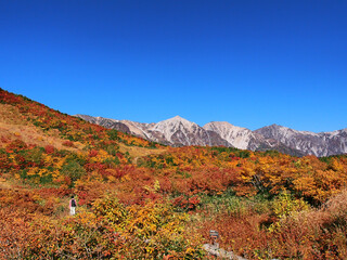 八方尾根 鎌池湿原の紅葉と白馬三山
