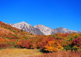 北アルプス　紅葉と白馬三山