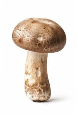 Single mushroom on a plain white surface, perfect for product or abstract design