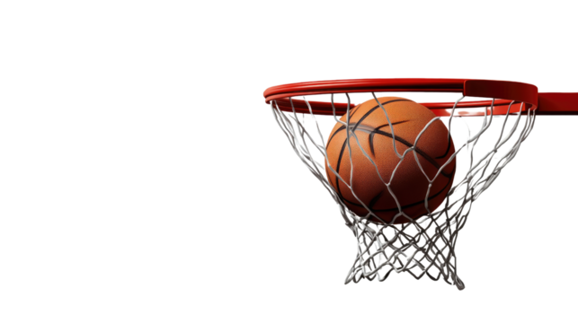 Isolated basketball and hoop on a white background
