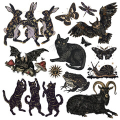 PNG whimsigoth black animal element set, transparent background