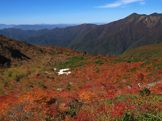 那須高原　姥ヶ平の紅葉