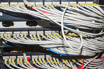 The back wall of the server cabinet, with internet cables connected to the server unit.