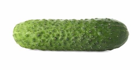 One whole fresh cucumber isolated on white