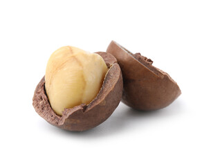 Macadamia nut with shell isolated on white