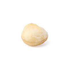 One peeled macadamia nut isolated on white