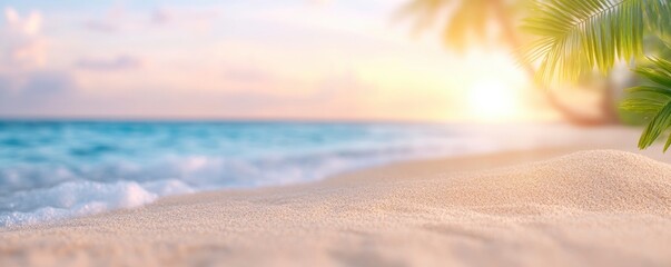 Beach product background with sea shells and plants