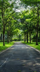 Fototapeta premium Empty asphalt road in the park with green grass and tree background.