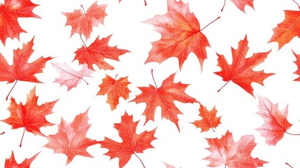 Fototapeta premium Seamless pattern featuring red maple leaves against a white background