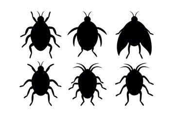 A set of Flea