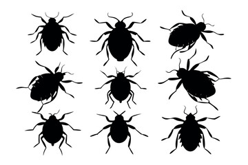 A set of Flea