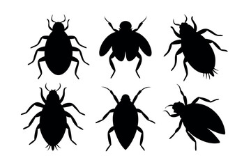 A set of Flea