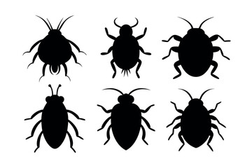 A set of Flea